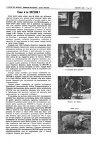 giornale/CFI0356924/1943/V.2/00000507