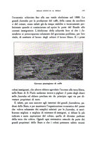 giornale/CFI0357002/1915/unico/00000191