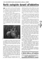 giornale/CFI0357226/1940/unico/00000273