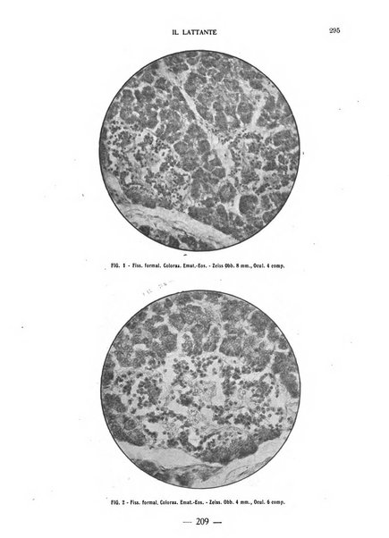 Il lattante periodico mensile di fisiopatologia, igiene e difesa sociale del bambino nel primo biennio di vita