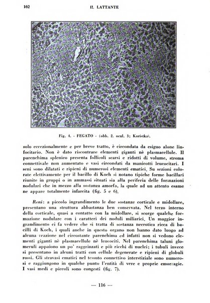 Il lattante periodico mensile di fisiopatologia, igiene e difesa sociale del bambino nel primo biennio di vita