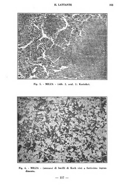 Il lattante periodico mensile di fisiopatologia, igiene e difesa sociale del bambino nel primo biennio di vita