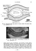 giornale/CFI0357229/1937/unico/00000481