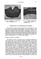 giornale/CFI0357229/1937/unico/00000485