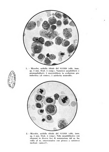 Il lattante periodico mensile di fisiopatologia, igiene e difesa sociale del bambino nel primo biennio di vita