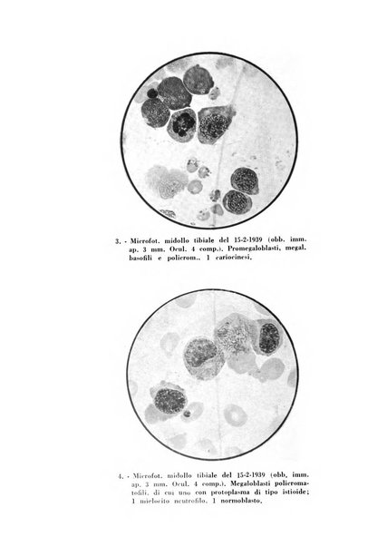 Il lattante periodico mensile di fisiopatologia, igiene e difesa sociale del bambino nel primo biennio di vita