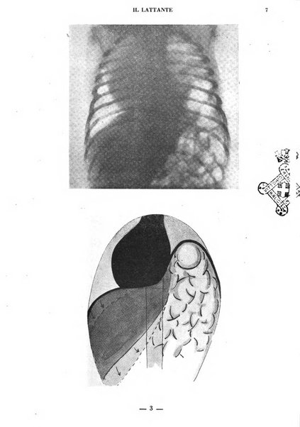 Il lattante periodico mensile di fisiopatologia, igiene e difesa sociale del bambino nel primo biennio di vita