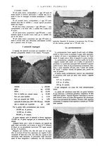 giornale/CFI0357329/1925-1926/unico/00000020