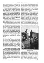 giornale/CFI0357329/1925-1926/unico/00000051