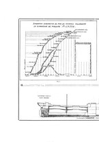 giornale/CFI0357959/1917/unico/00000256