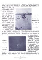giornale/CFI0357959/1920/unico/00000027
