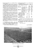 giornale/CFI0357959/1920/unico/00000166