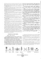 giornale/CFI0357959/1920/unico/00000172