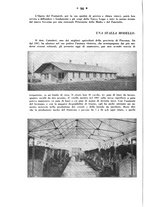giornale/CFI0358109/1928/unico/00000100