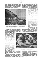 giornale/CFI0358109/1932/unico/00000733