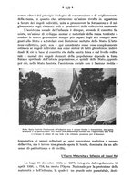 giornale/CFI0358109/1932/unico/00000944