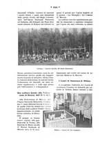 giornale/CFI0358109/1932/unico/00001094