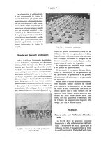 giornale/CFI0358109/1932/unico/00001100