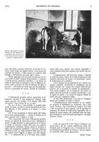 giornale/CFI0358109/1935/unico/00000197