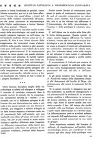 giornale/CFI0358170/1923/unico/00000099