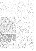 giornale/CFI0358170/1924/unico/00000343