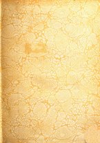 giornale/CFI0358170/1925/unico/00000003