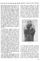 giornale/CFI0358170/1926/unico/00000093