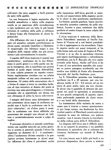 La medicina italiana