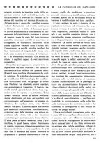 giornale/CFI0358170/1927/unico/00000443