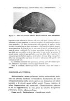 giornale/CFI0358170/1933/unico/00000013