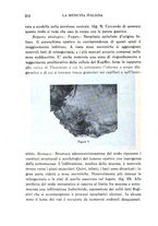 giornale/CFI0358170/1933/unico/00000230