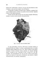 giornale/CFI0358170/1933/unico/00000288