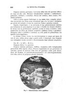 giornale/CFI0358170/1933/unico/00000652
