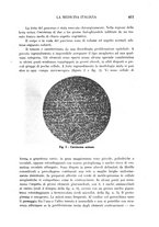 giornale/CFI0358170/1933/unico/00000653