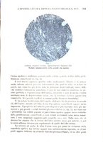 giornale/CFI0358170/1934/unico/00000763