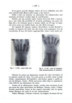 giornale/CFI0358170/1940/unico/00000507