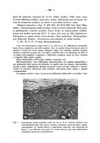 giornale/CFI0358170/1941/unico/00000399