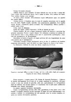 giornale/CFI0358170/1942/unico/00000386