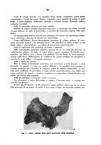 giornale/CFI0358170/1942/unico/00000437