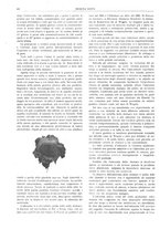 giornale/CFI0358174/1913/unico/00000736