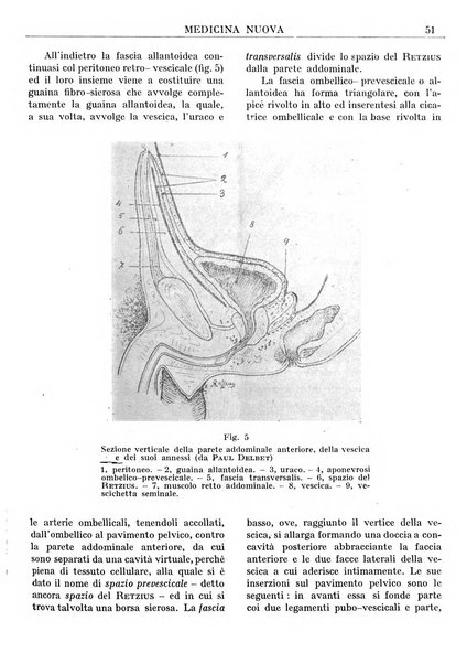 Medicina nuova periodico settimanale di scienze mediche, giurisprudenza sanitaria, medicina sociale e interessi delle classi sanitarie