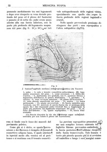 Medicina nuova periodico settimanale di scienze mediche, giurisprudenza sanitaria, medicina sociale e interessi delle classi sanitarie