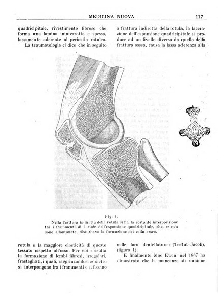 Medicina nuova periodico settimanale di scienze mediche, giurisprudenza sanitaria, medicina sociale e interessi delle classi sanitarie