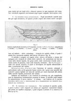 giornale/CFI0358174/1933/unico/00000108