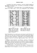 giornale/CFI0358174/1933/unico/00000109