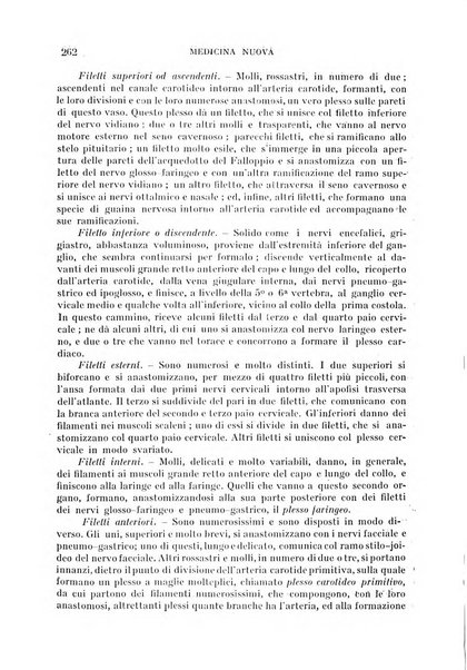 Medicina nuova periodico settimanale di scienze mediche, giurisprudenza sanitaria, medicina sociale e interessi delle classi sanitarie