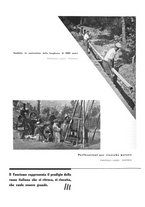 giornale/CFI0358410/1940-1941/unico/00000290