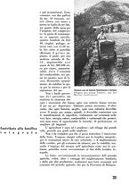 giornale/CFI0358410/1941-1942/unico/00000035