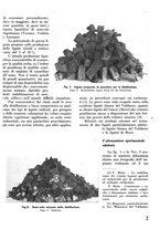 giornale/CFI0358410/1941-1942/unico/00000097