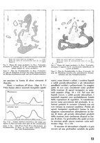 giornale/CFI0358410/1941-1942/unico/00000427